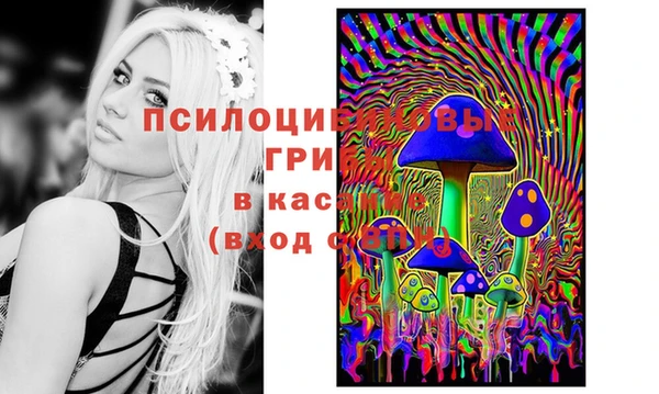 ECSTASY Абаза